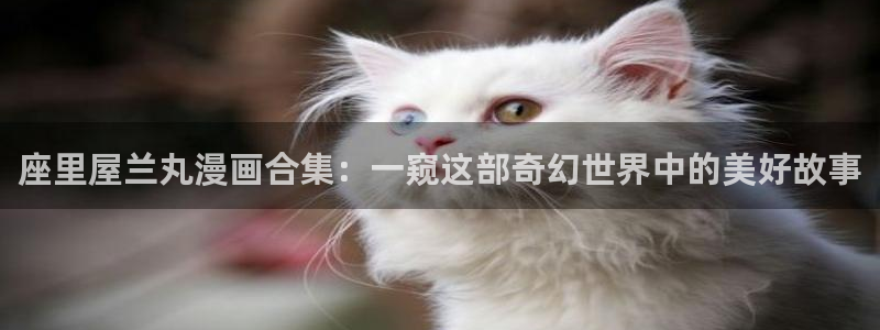 漫蛙2免费漫画官网