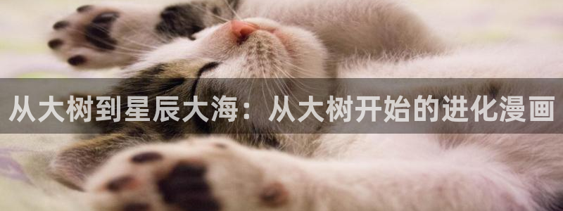 蛙漫韩漫漫画免费阅读看漫画下拉：从大树到星辰大海：从大树开始的进化漫画