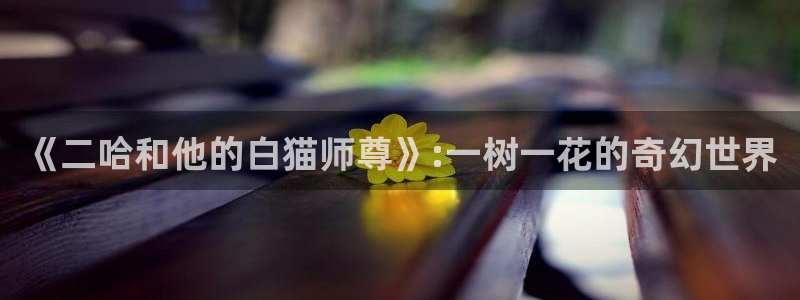 漫蛙漫画去广告版：《二哈和他的白猫师尊》:一树一花的奇幻世界